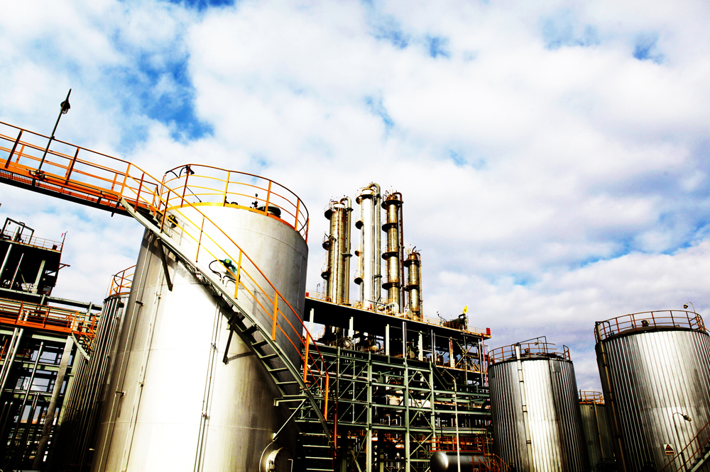 Plants: image 1 0f 4 thumb