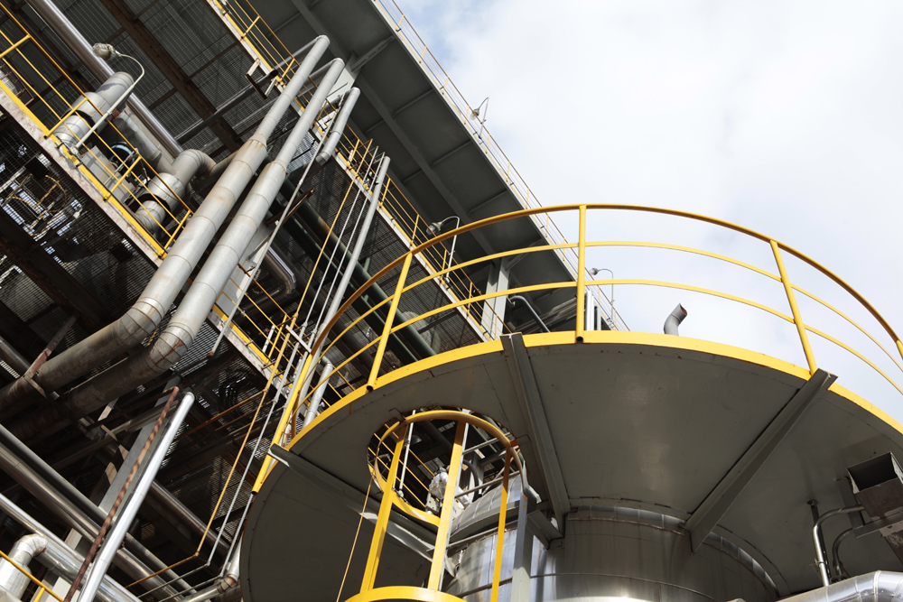 Plants: image 1 0f 4 thumb