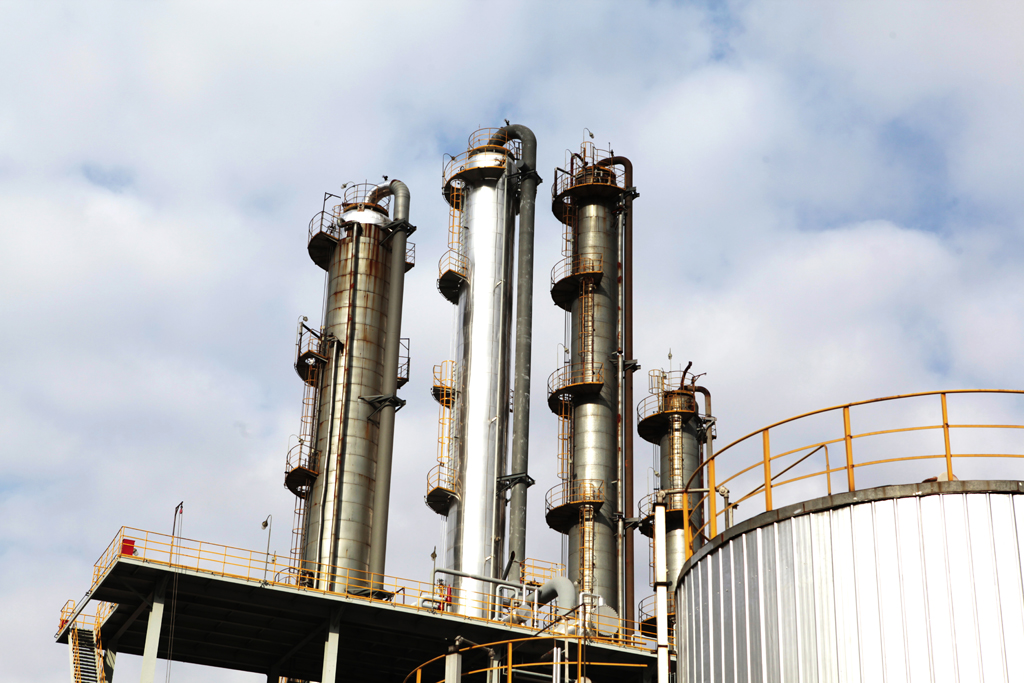 Plants: image 1 0f 4 thumb